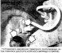 Открыть статью Колесный цилиндр — снятие, переборка и установка
