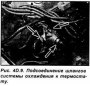 Снятие и установка двигателей CVH и РТЕ