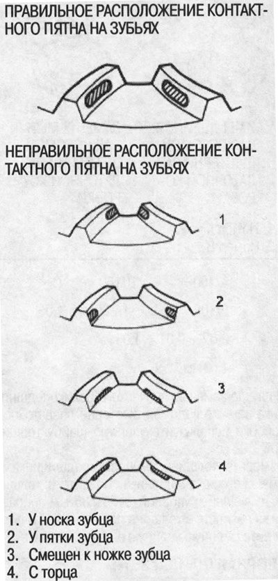 18. Проверьте форму контактного пятна на зубьях…