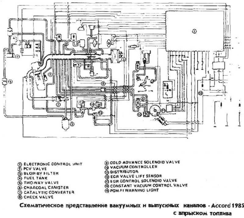 Схематическое представление вакуумных и выпускных…
