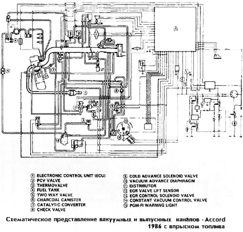 Схематическое представление вакуумных и выпускных каналов Accord 1986 с ...