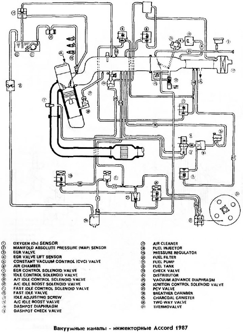 Вакуумные каналы инжекторные Accord 1987