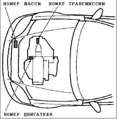 На некоторых модификациях автомобиля номера шасси…