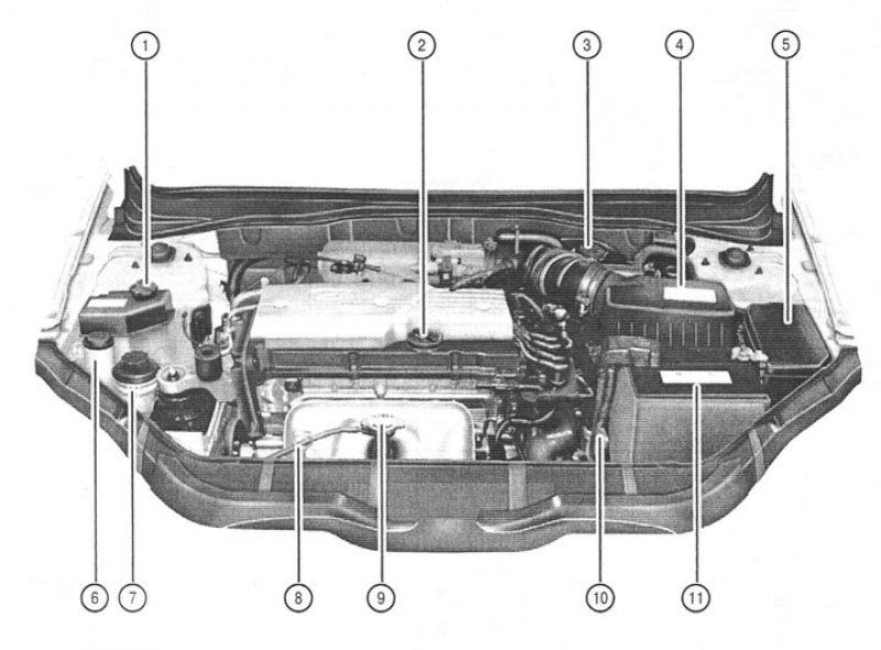 подкапотное пространство хендай акцент тагаз