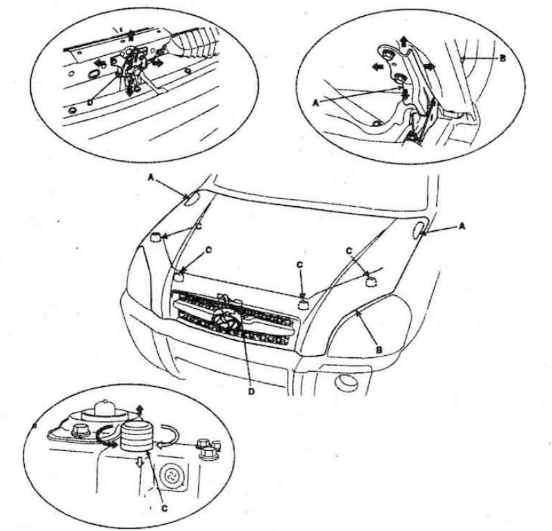 Регулировка капота. Регулировка упоров капота Tucson. Можно ли отрегулировать капота на Хендай Туссан 2020.