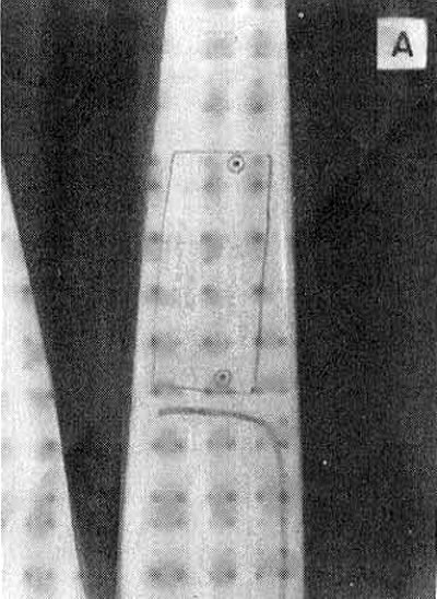 Заводская табличка крепится заклепками в правой…