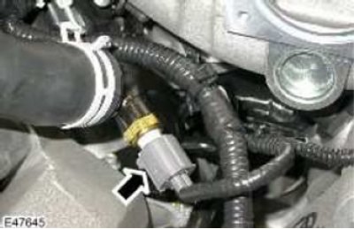 Снимите уплотнительное кольцо и отбракуйте его.