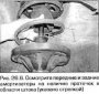 Открыть статью Проверка подвески и рулевого управления — каждые 50000 км или раз в два года