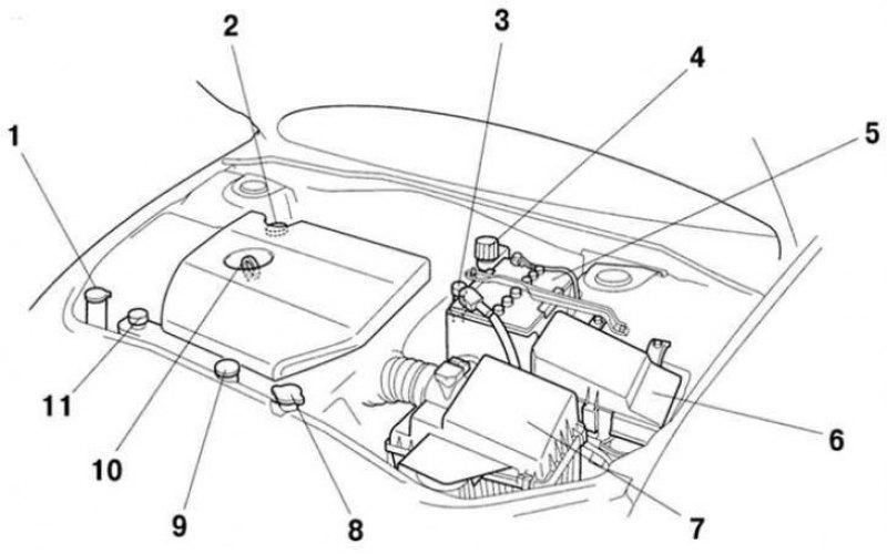 Схема подкапотного пространства