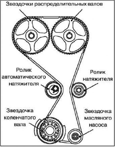 1. Звездочка коленчатого вала и ролик натяжителя…