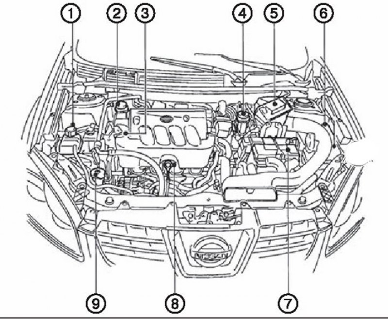Ниссан кашкай жидкости. Датчики двигателя Ниссан Кашкай 2.0. Система охлаждения двигателя mr20de. Схема двигателя mr20. Система охлаждения hr16de.