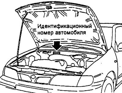 Идентификационный номер автомобиля (Номер шасси)