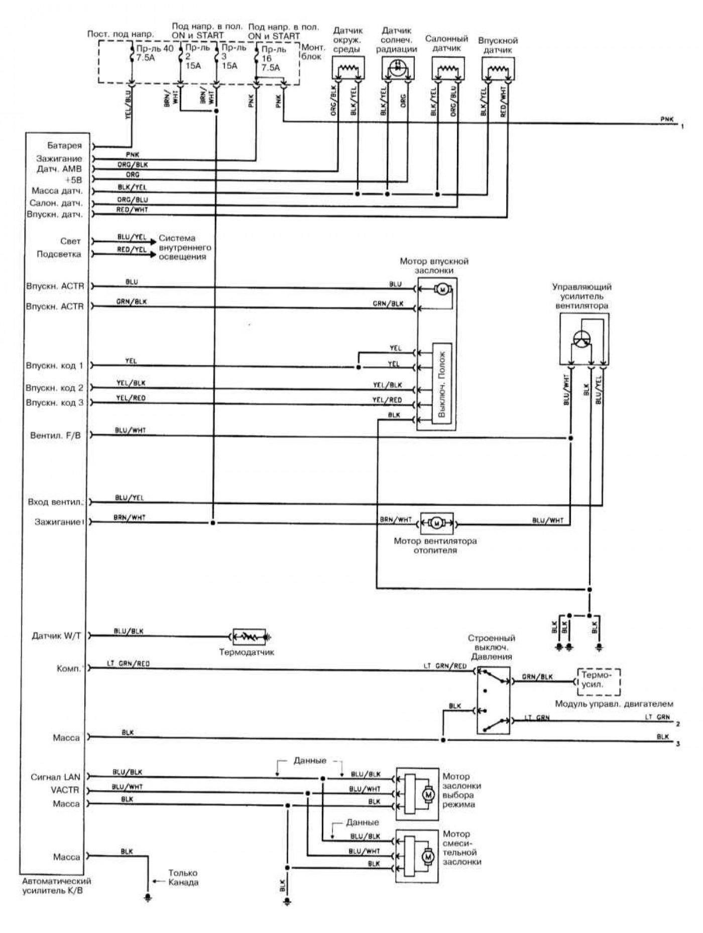 Схема ниссан цефиро. Схема проводки Ниссан Максима а33. Ниссан Максима а33 схема электрооборудования. Схема проводки Ниссан Максима а32. Ниссан Максима 1997 блок климат контроля.