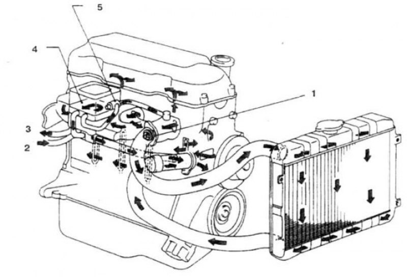 Схема охлаждения двигателя ниссан