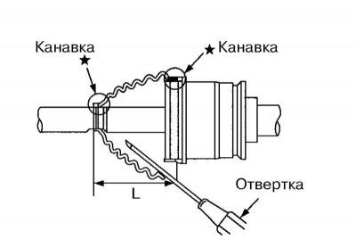 8. Удостоверьтесь, что длина пыльника (L)…