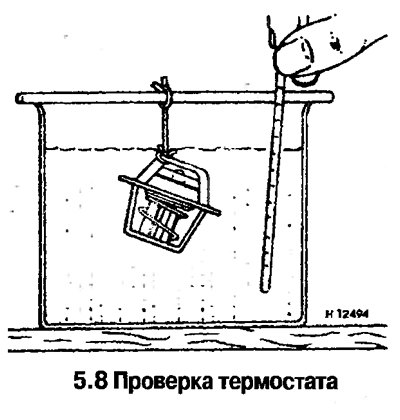 8. Подвесьте термостат в нагреваемом сосуде с…
