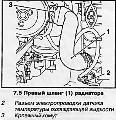 5. Предварительно ослабив крепежный хомут и…