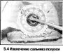 Открыть статью Сальники МКПП — замена