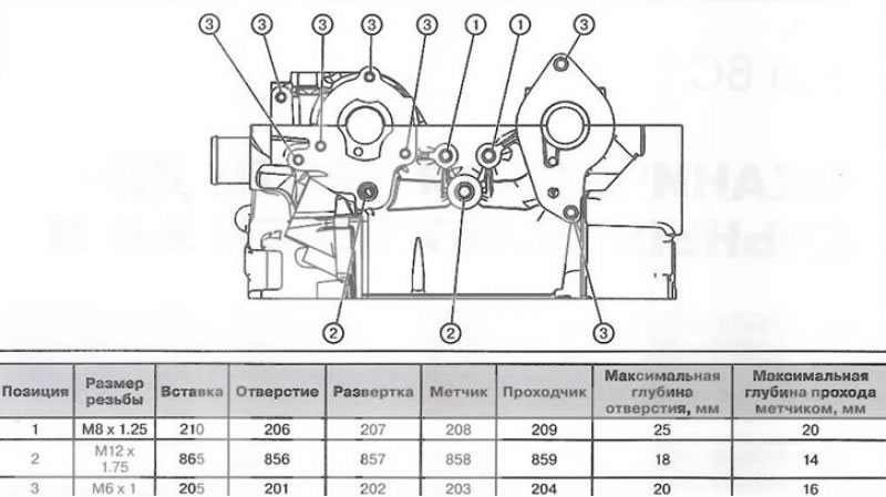 Вид сзади