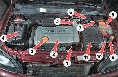 Подкапотное пространство автомобилей Opel Astra с…