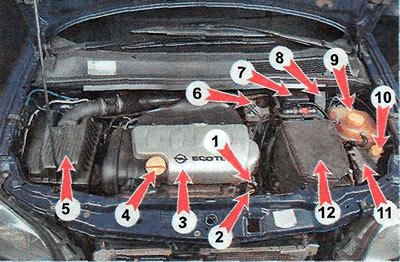 Подкапотное пространство автомобилей Opel Zafira…
