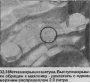 Открыть статью Поршни и шатуны — снятие и установка