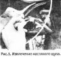 Текущее техническое обслуживание