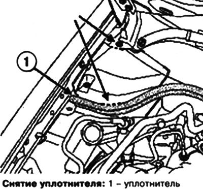 Удалите пластмассовые заклепки крышки люка.