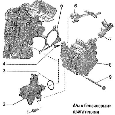Вакуумная система — а/м с бензиновыми двигателями