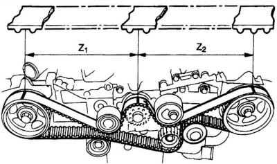 Z1 – 44 зуба