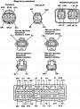Проверка антиблокировочной системы (ABS)