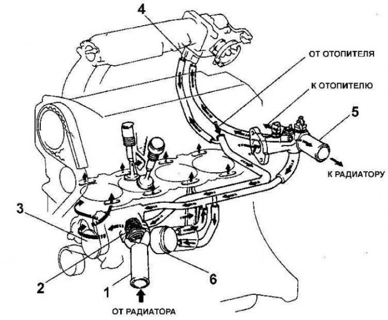 Система охлаждения тойота ипсум схема