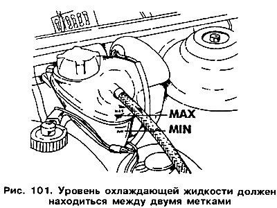 Подсоедините нижние шланги к радиатору, в…