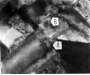 Открыть статью Водяной насос — снятие и установка