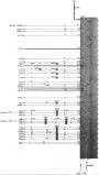 Блоки управления — задний электронный модуль (REM) 1:2